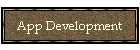 App Development